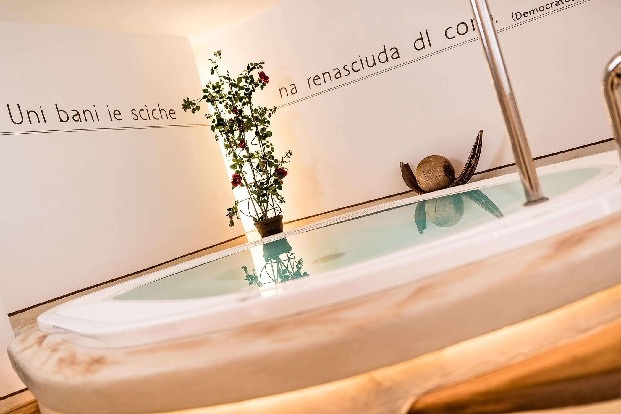 Whirlpool with roses in the background - Hotel Continental