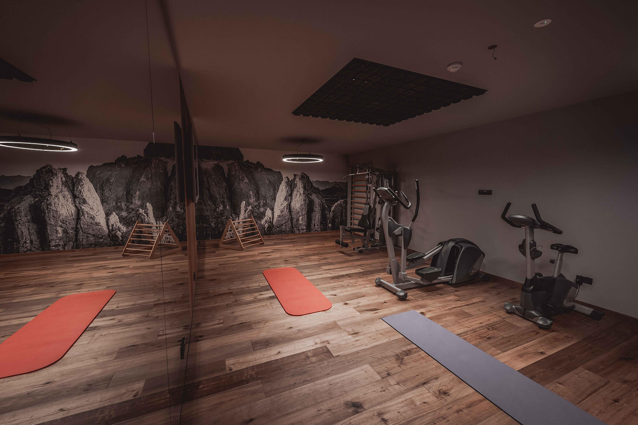 Fitness room with equipment and yoga mats - Hotel Continental