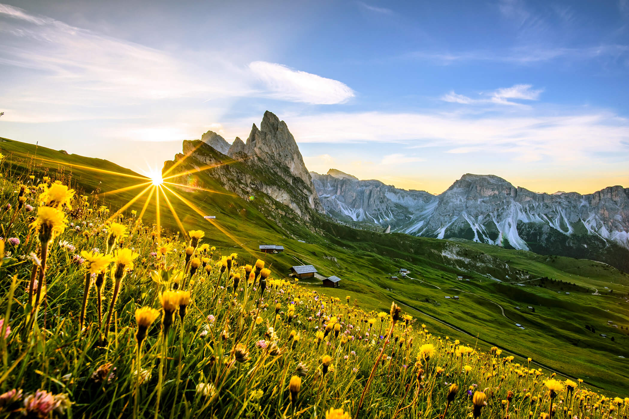 Flower meadow with wooden huts and the Geisler Group in the background - Hotel Continental
