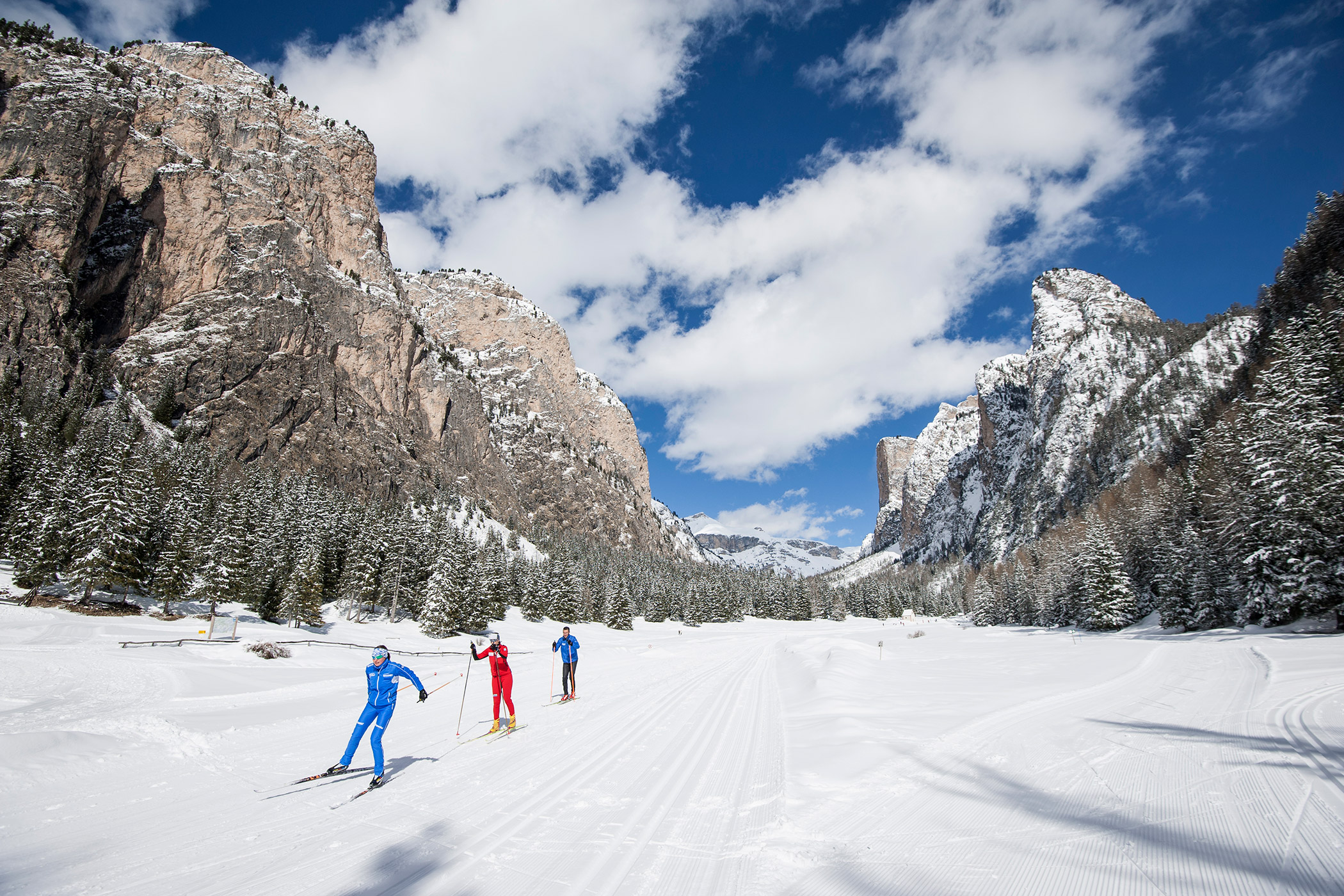 Three cross-country skiers in front of the mountain panorama - Hotel Continental